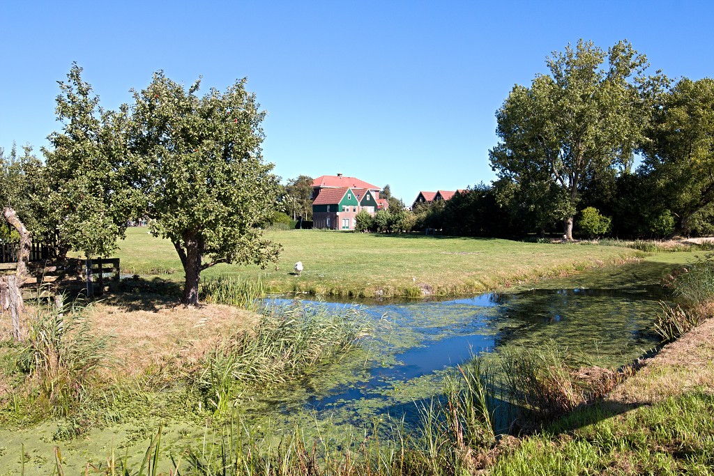 marken markermeer hdr houten huizen waterland vissersdorp paard van